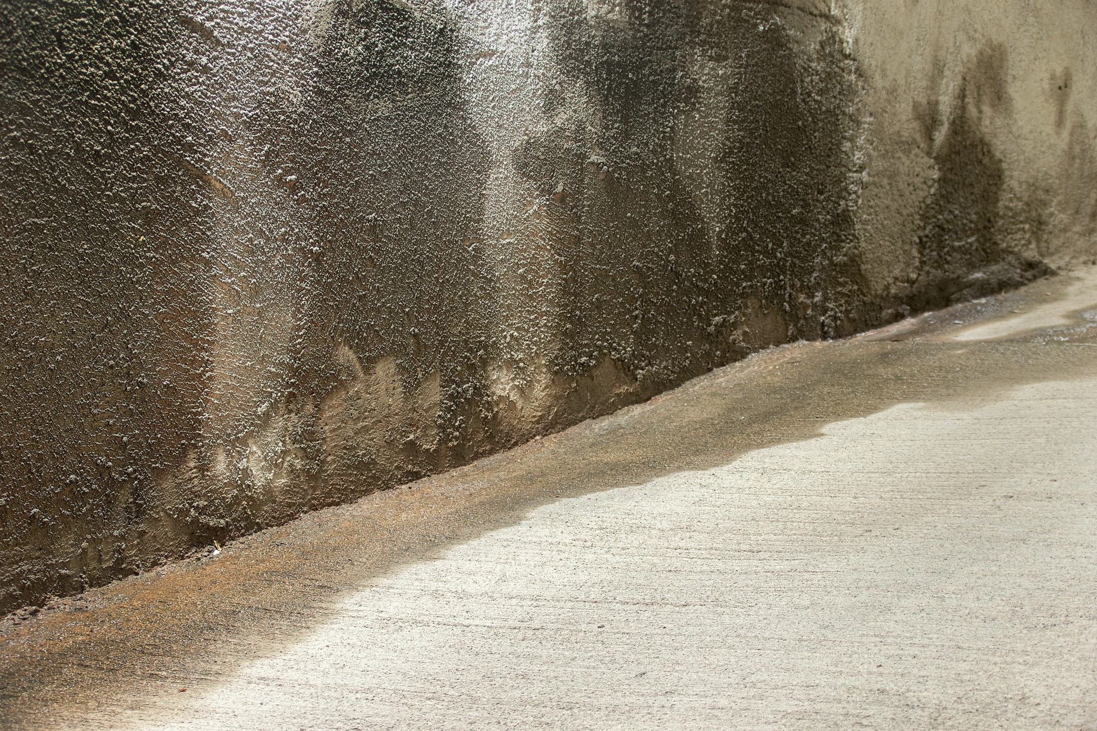 mokre ściany w budynku